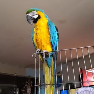 Meet your Posher, Brenda